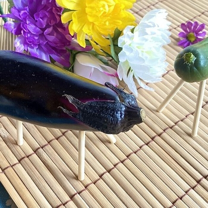 画像494