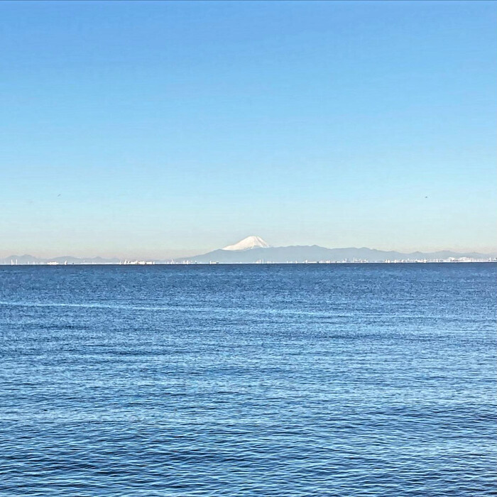 画像504