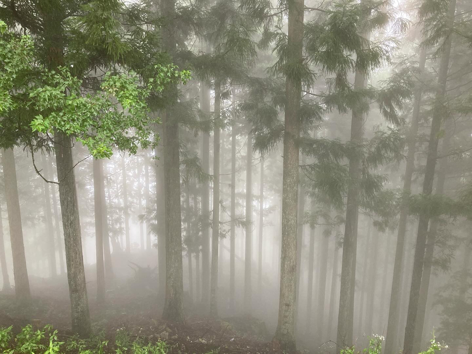 画像610
